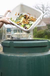 backyard-composting