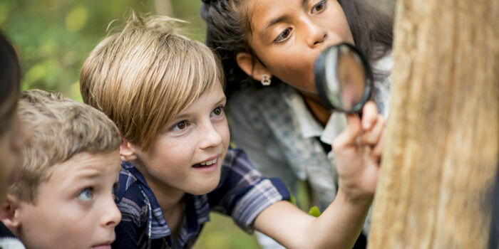 Kids scavenging with magnifying glass