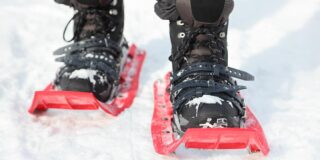 Snow shoes on trails