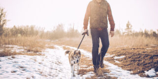 Mature men walking with his dog on snow covered field.